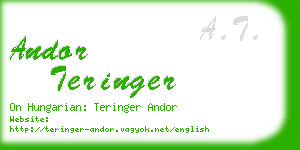andor teringer business card